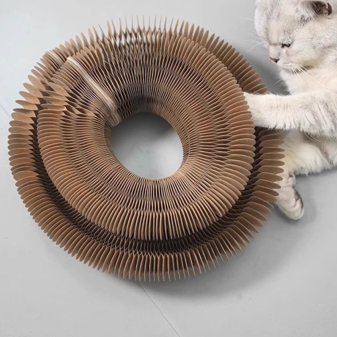 Cat Nest Scratch Board