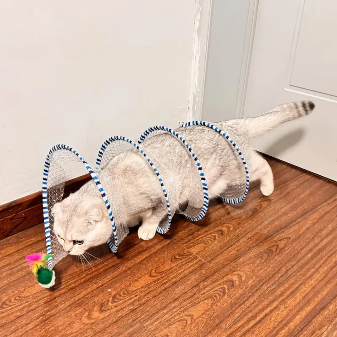 Cat Tunnel Toy
