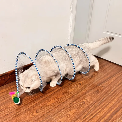 Cat Tunnel Toy
