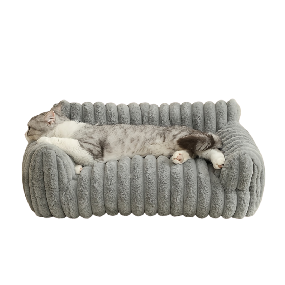 Cat Sofa