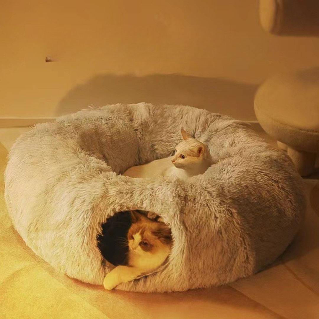 Cat Tunnel Bed
