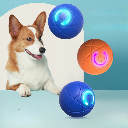 Bouncing Pet Ball