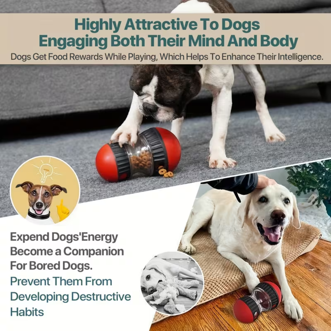 Dog Food Rolling Dispenser