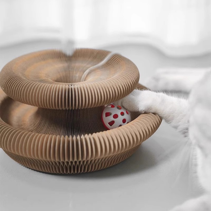 Cat Nest Scratch Board