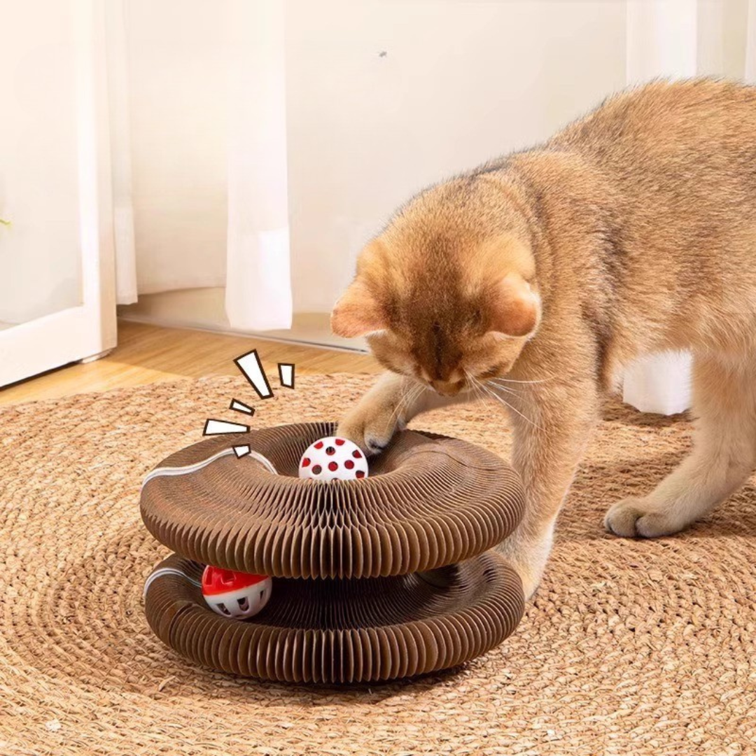 Cat Nest Scratch Board