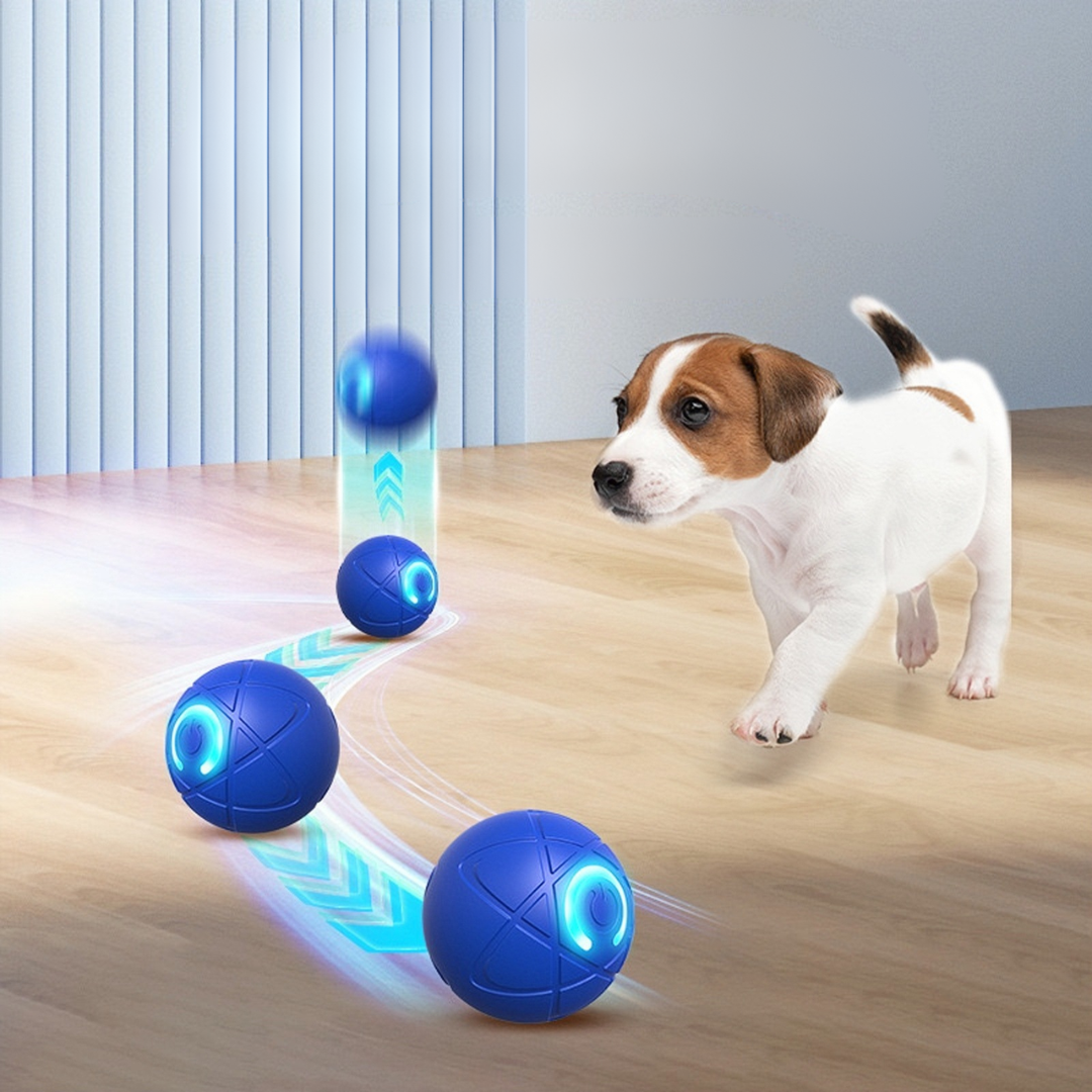 Bouncing Pet Ball