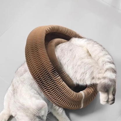 Cat Nest Scratch Board