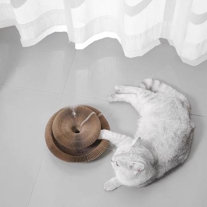 Cat Nest Scratch Board