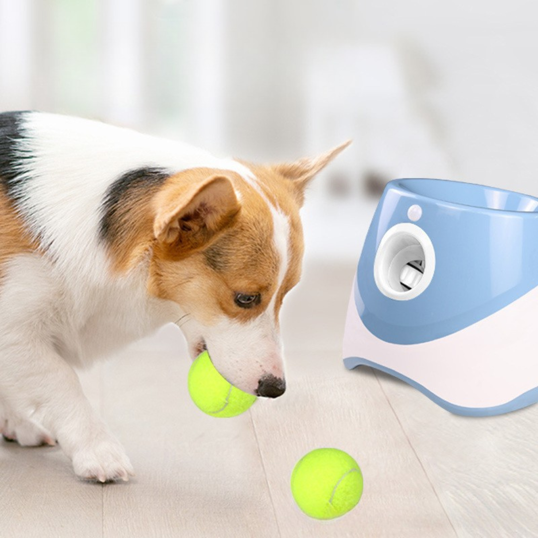 Dog Ball Launcher