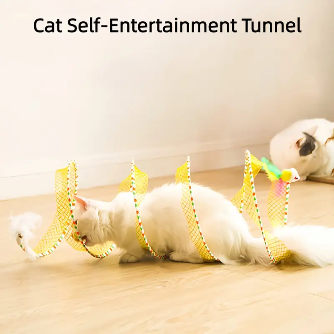 Cat Tunnel Toy