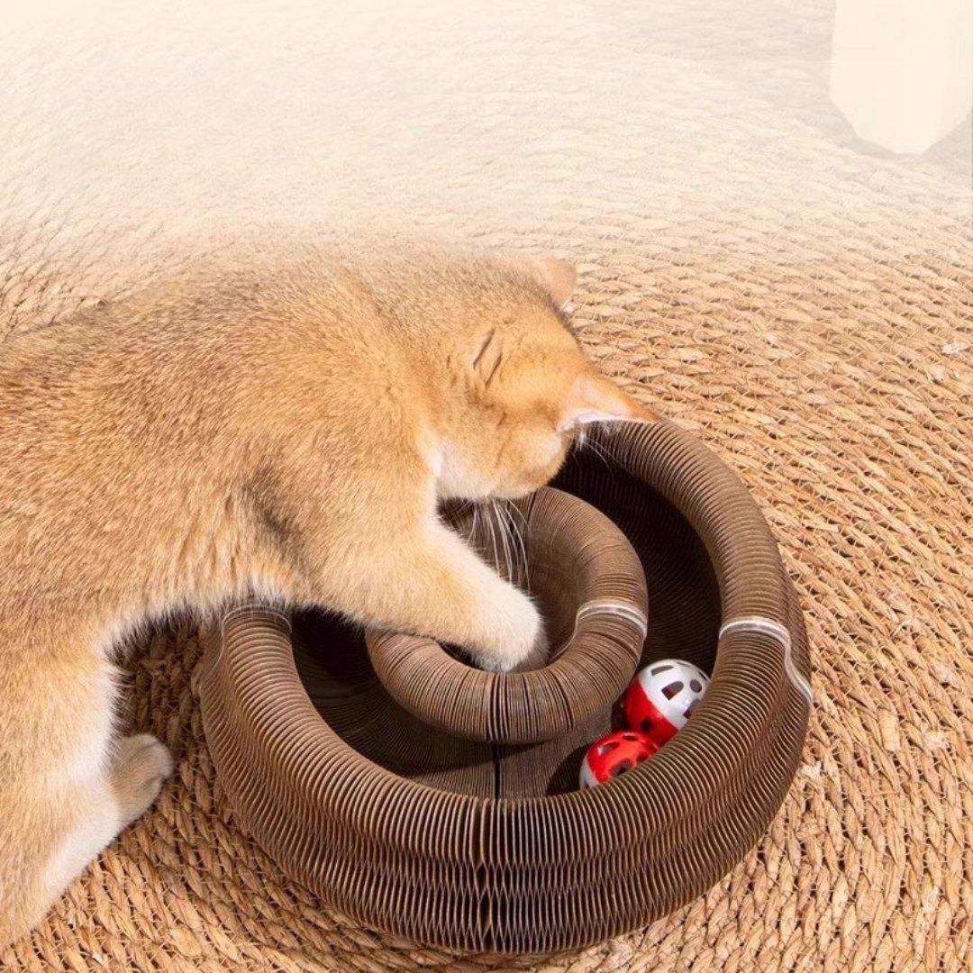 Cat Nest Scratch Board