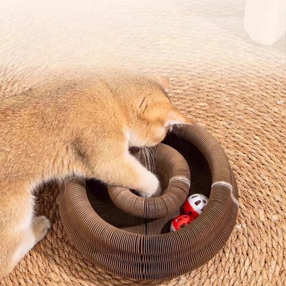 Cat Nest Scratch Board