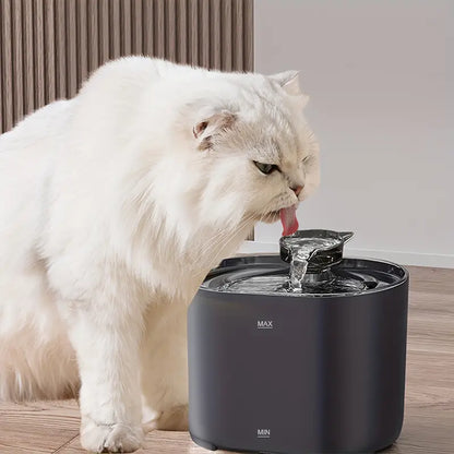 Quiet Cat Water Fountain
