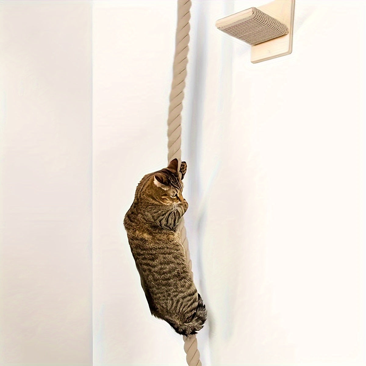 Rope Cat Ladder