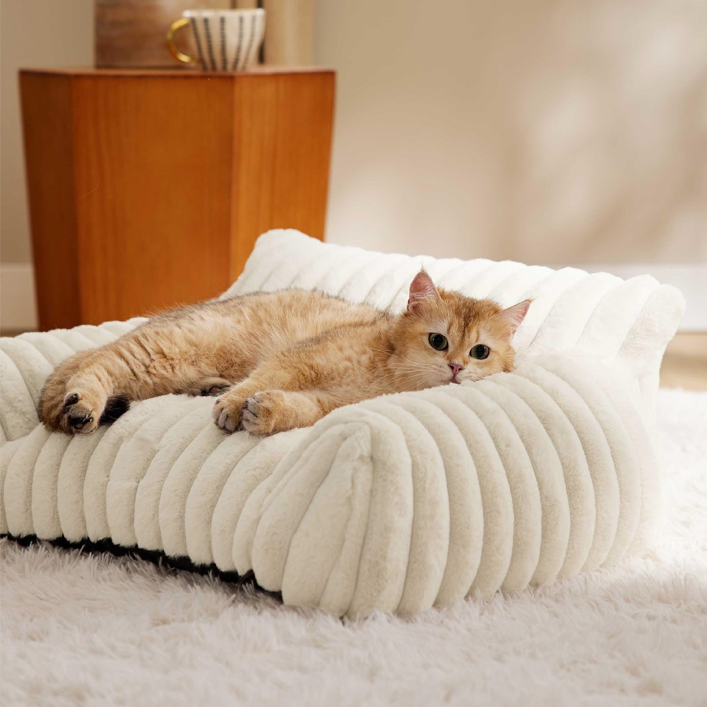 Cat Sofa