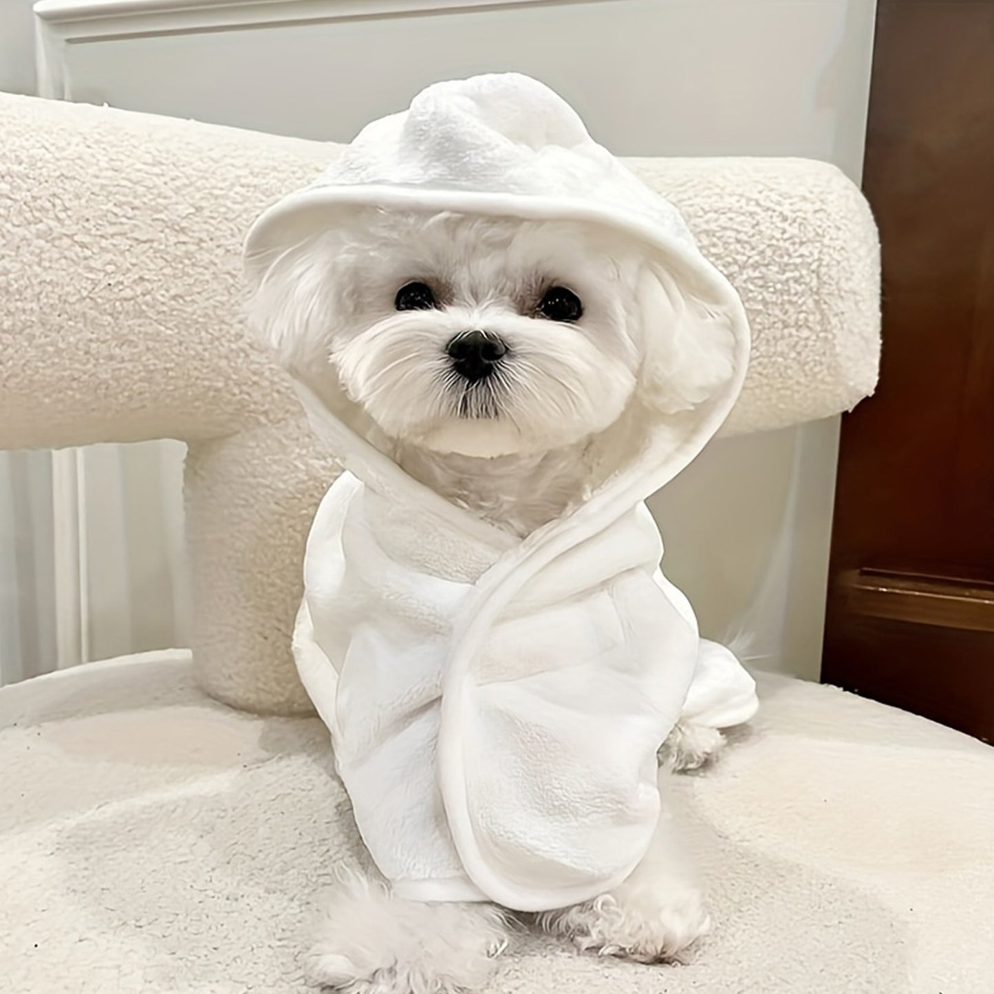 Pet Bathrobe